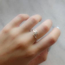 Anillo de plata - AN2533