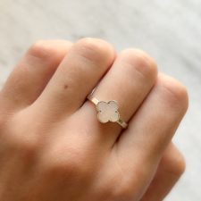 ANILLO DE PLATA - AN3646