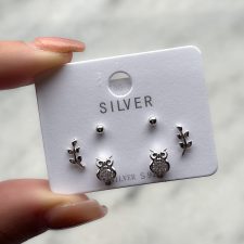 Aros de plata - AR5250