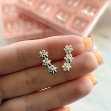 Abridores de plata - AR5445