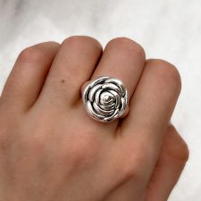 Anillo de plata - AN1490