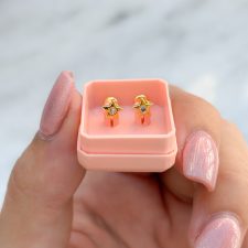 Abridores de plata dorada - AR5666